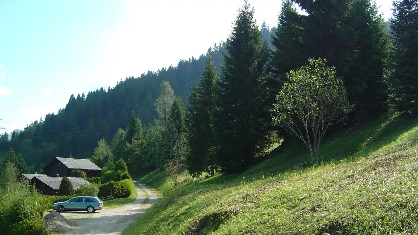 Terreno edificabile in vendita - Mösli, 1716 Schwarzsee - Photo 4
