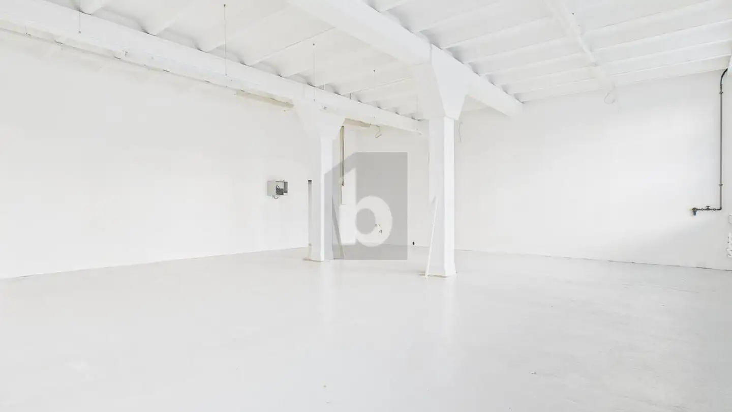 Immeuble industriel à louer - 8700 Küsnacht ZH - Photo 4