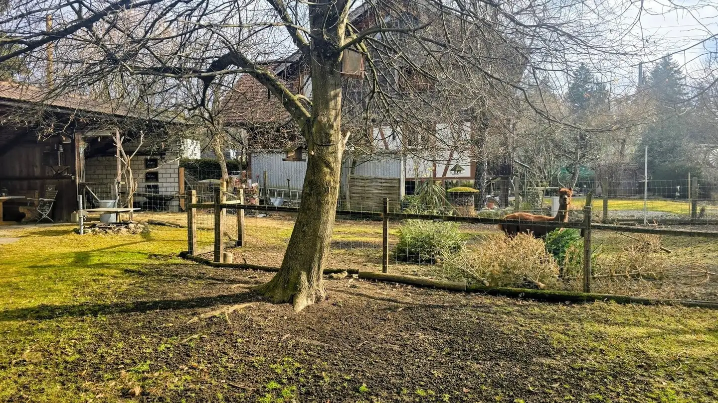 Wohnung mieten - Aareweg 10, 3628 Uttigen - Foto 4