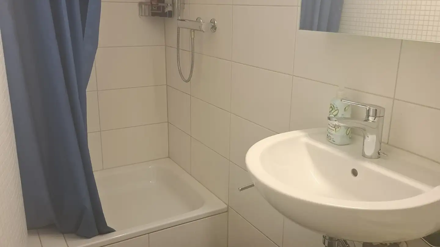 Single room for rent - Schwandenholzstrasse 242, 8046 Zürich - Photo 4