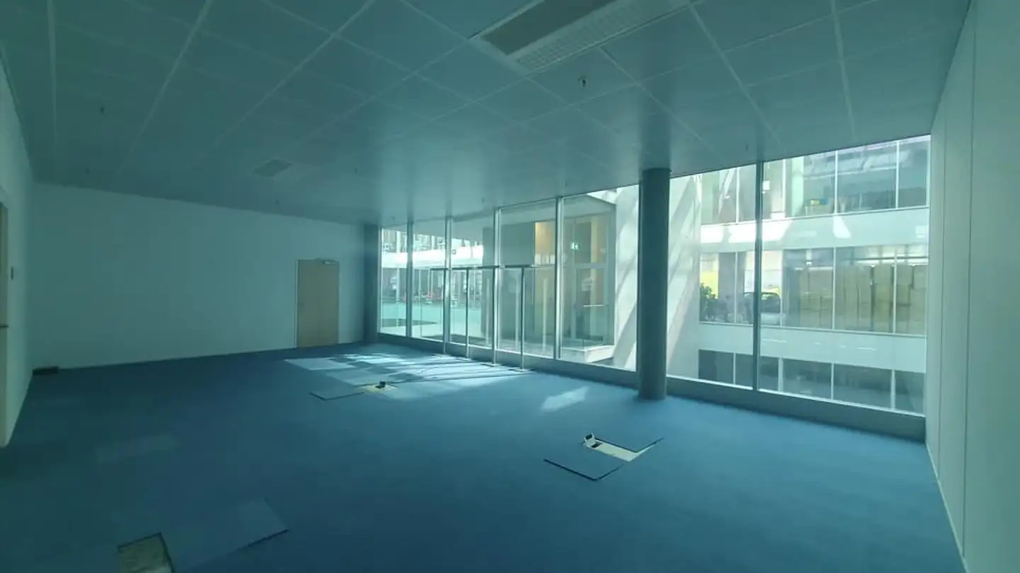 Commerciale in affitto - Chemin Du Pré-Fleuri 3, 1228 Plan-les-Ouates - Foto 4