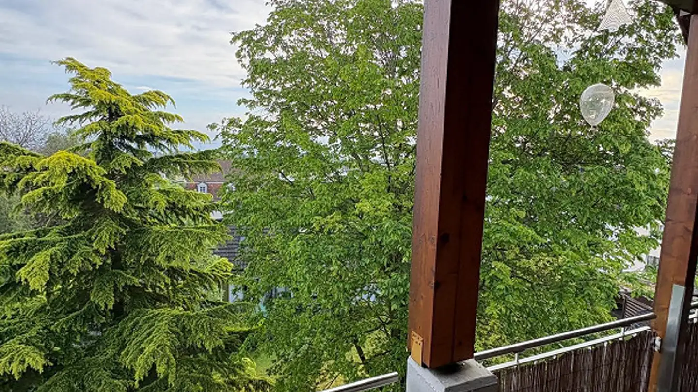 Penthouse mieten - Geissbüchel 6, 8595 Altnau - Foto 4