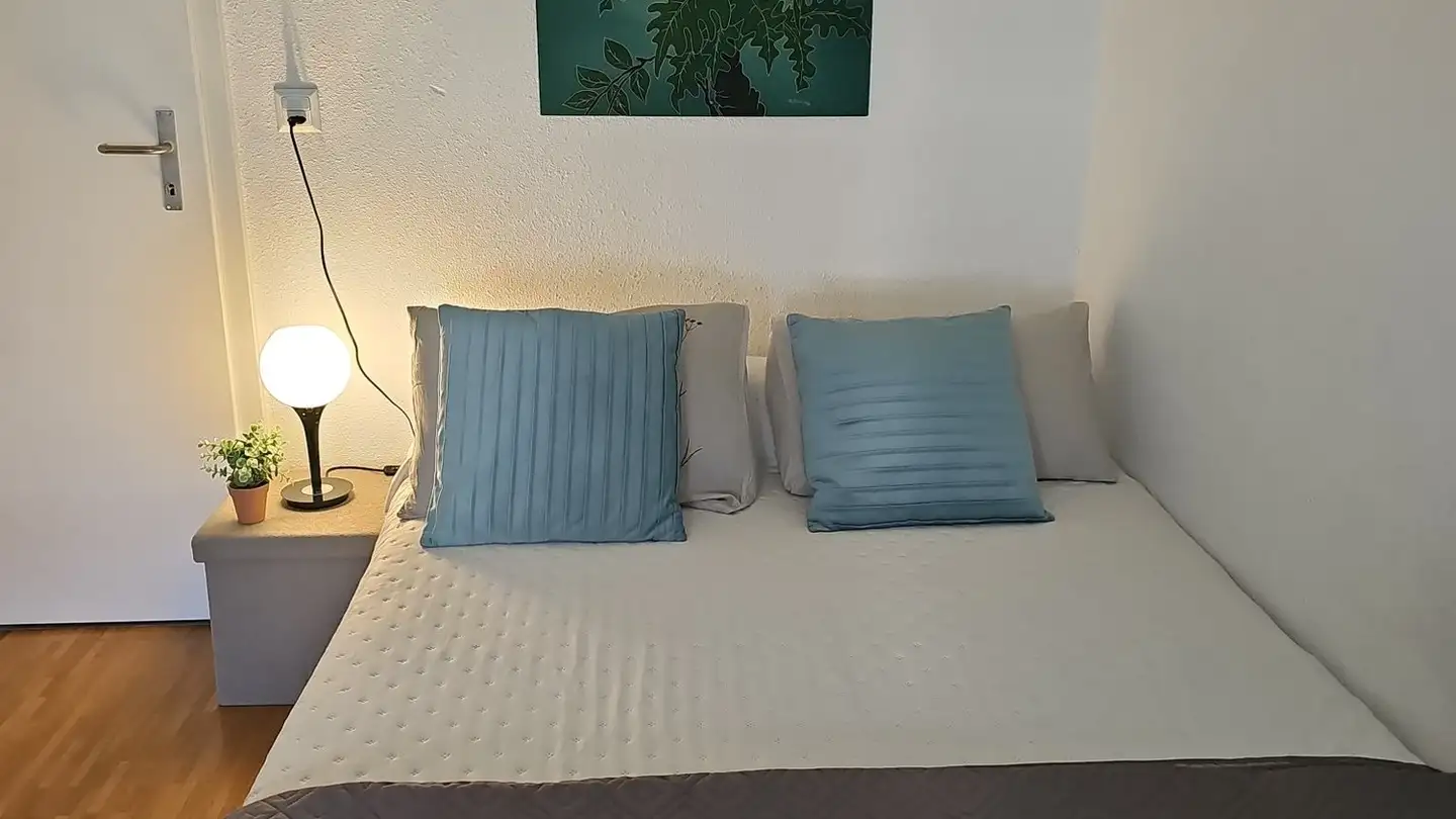 Single room for rent - Route Du Bois, 1024 Ecublens VD