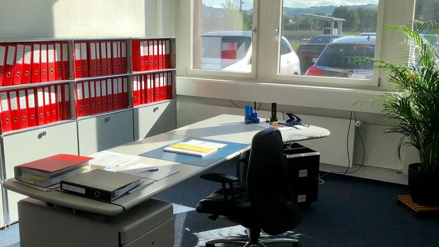 Office space for rent - Hinterbergstrasse 18, 6312 Steinhausen