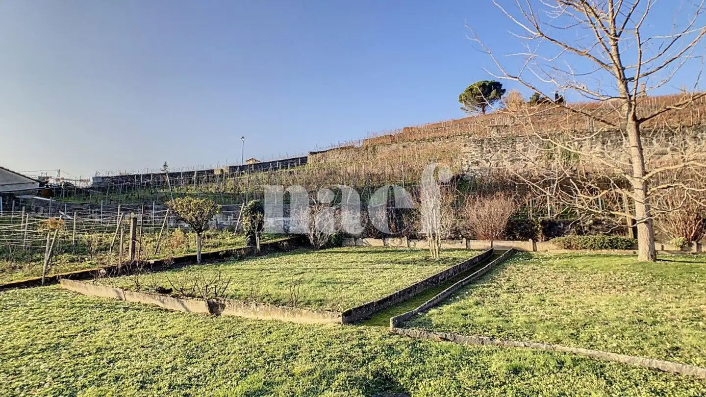 Appartement à louer - Route De La Corniche 7, 1096 Cully - Photo 3