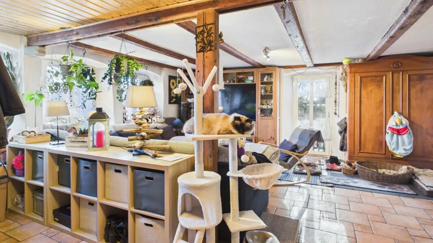 Bauland kaufen - Le Pelleret, 1610 Châtillens