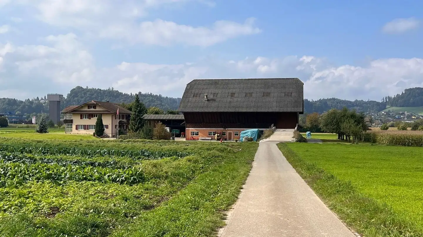 Appartement meublé à louer - Schürmatte, 4806 Wikon