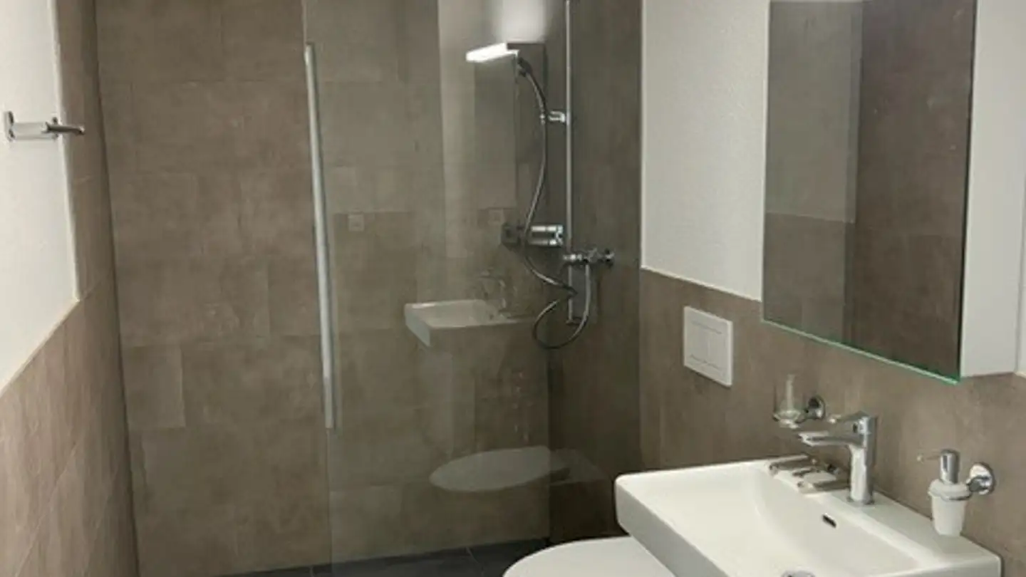 Appartamento in affitto - Rebwiesenstrasse 11, 8406 Winterthur - Foto 4