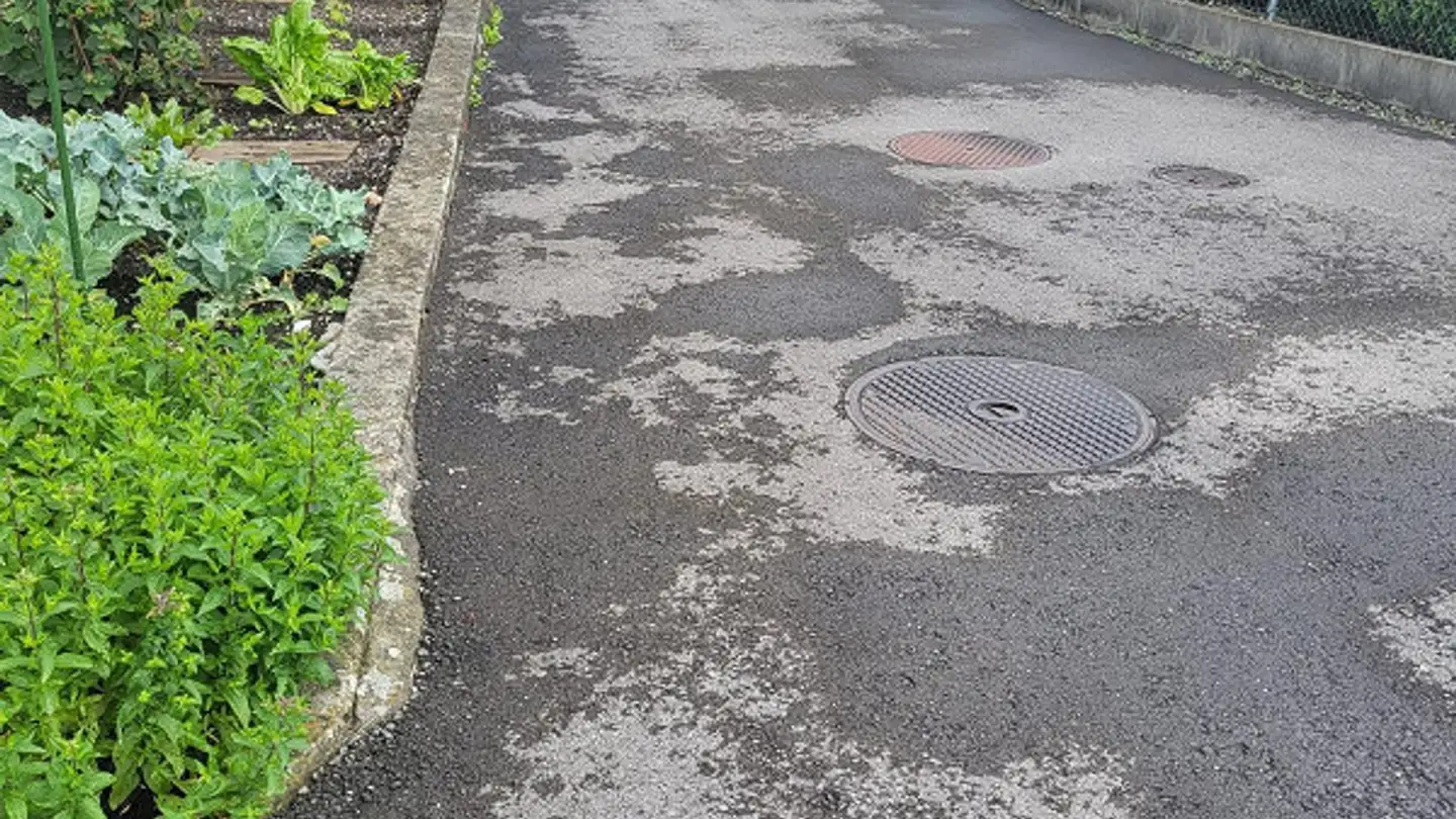 Single house for sale - 9466 Sennwald