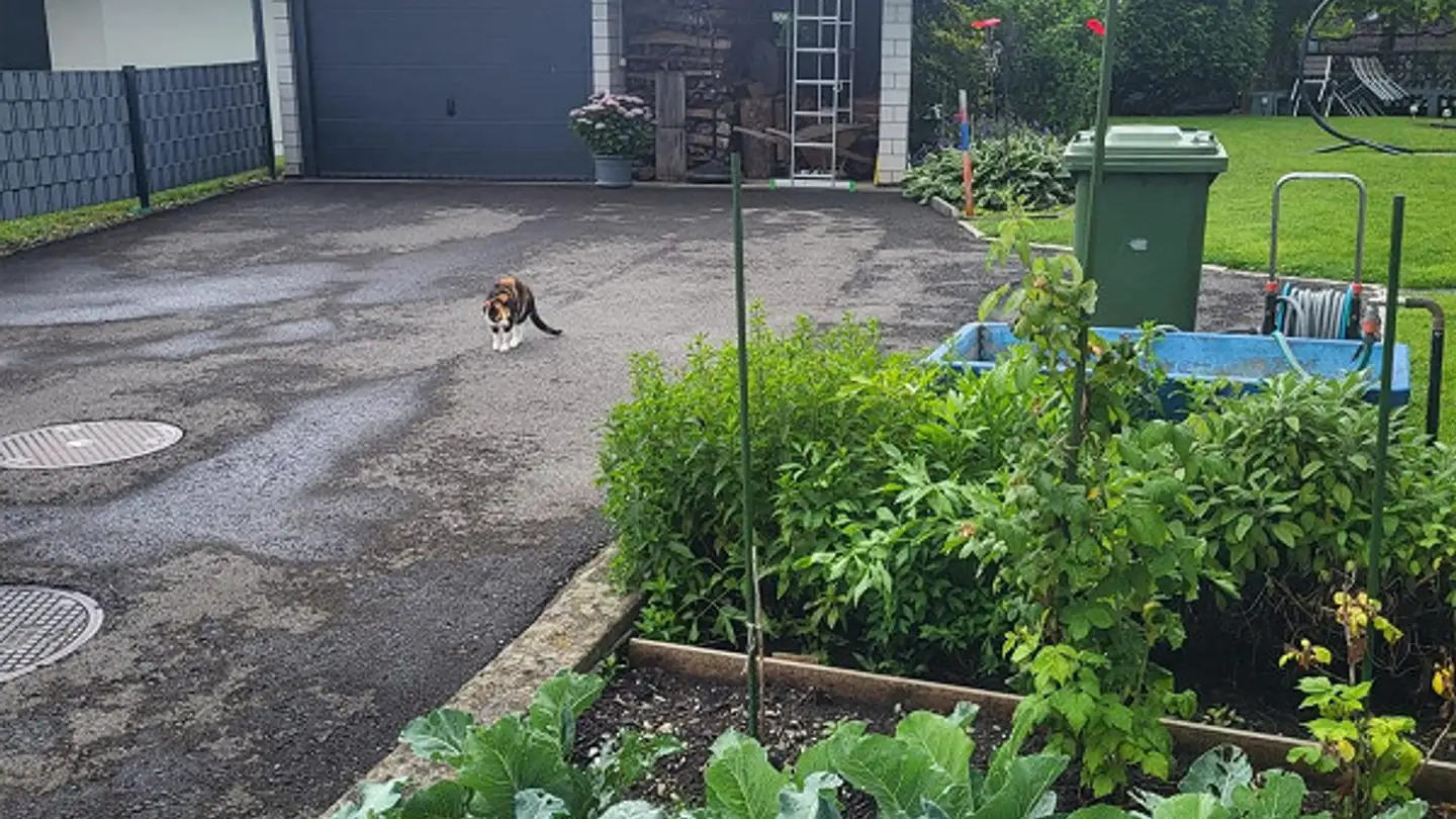 Single house for sale - 9466 Sennwald - Photo 2