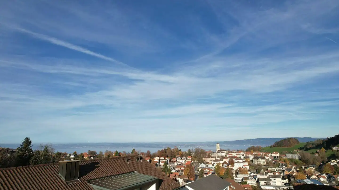 Single house for sale - Brunnenstrasse, 9410 Heiden - Photo 3