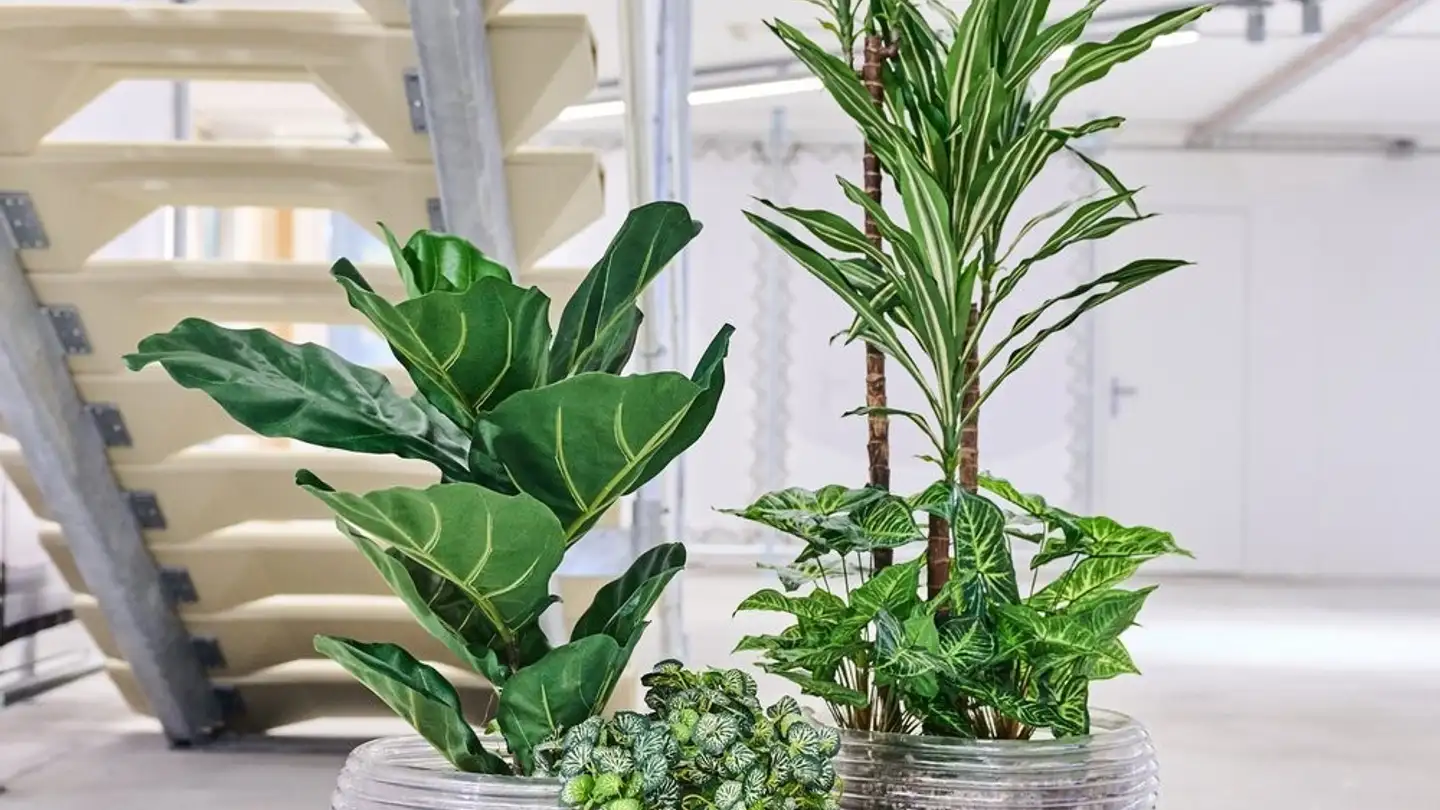 Bürofläche mieten - Industriestrasse 15, 5242 Lupfig - Foto 3