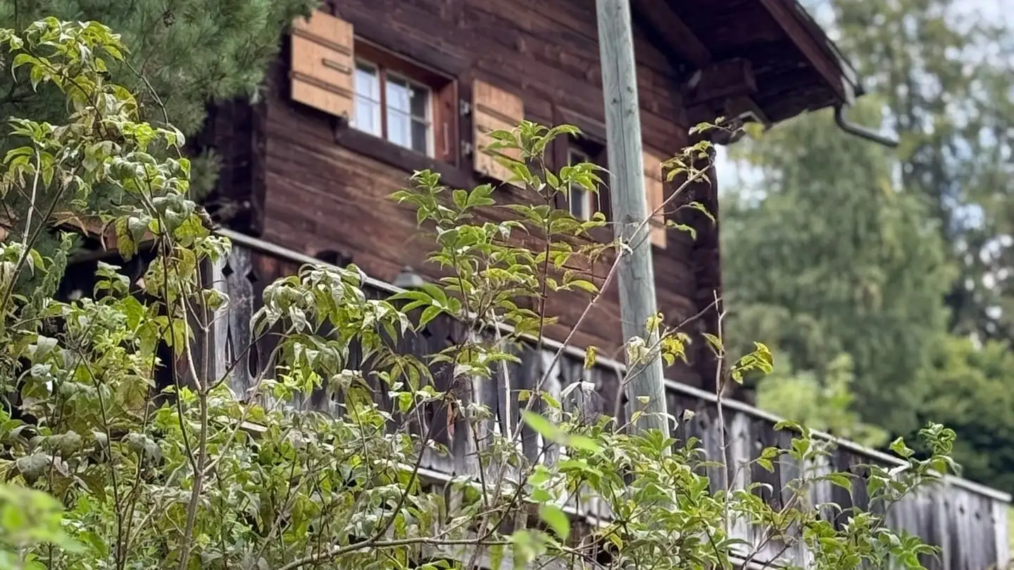 Chalet kaufen - 7423 Sarn