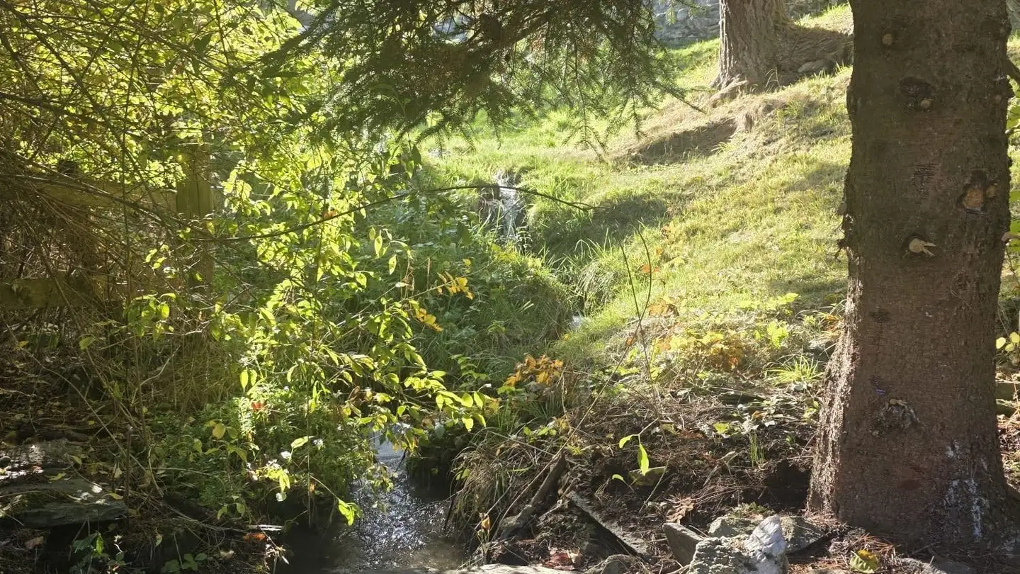 Chalet in vendita - 7423 Sarn - Photo 2