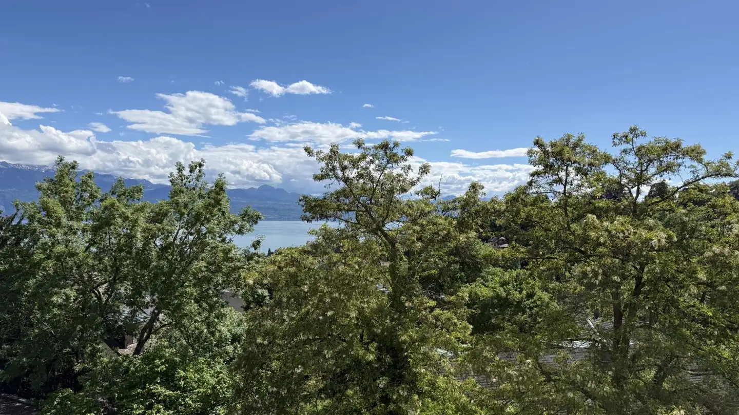 Appartamento in affitto - Chemin De Champ-Soleil 11, 1012 Lausanne - Foto 2