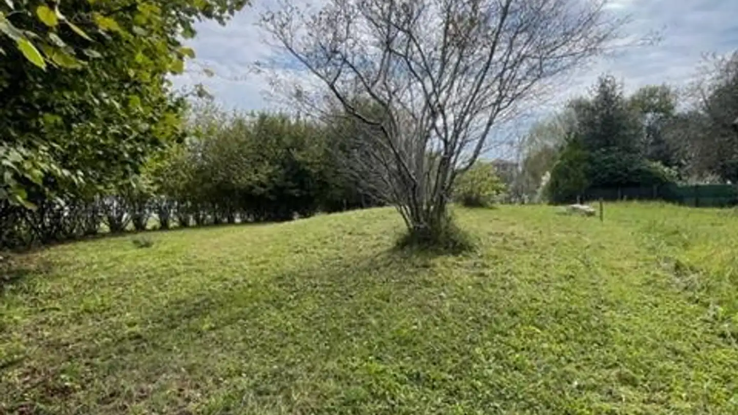 Constructible plot for sale - 6936 Cademario