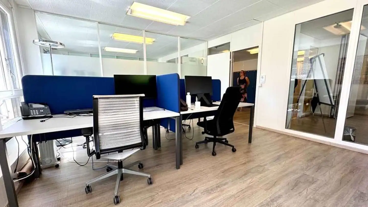 Negozio in affitto - Rue Des Caroubiers 15, 1227 Carouge GE - Foto 3