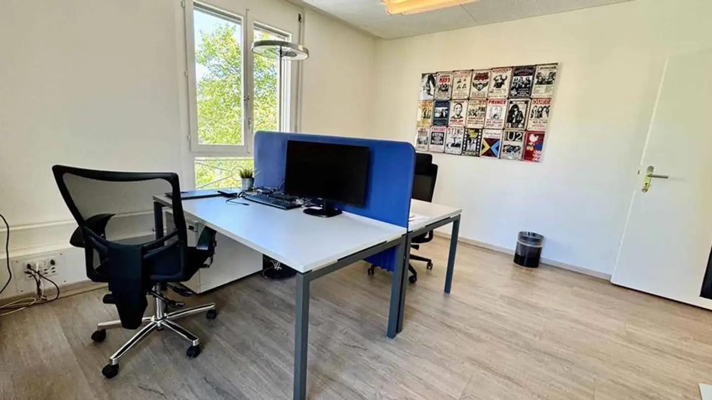 Negozio in affitto - Rue Des Caroubiers 15, 1227 Carouge GE - Foto 4