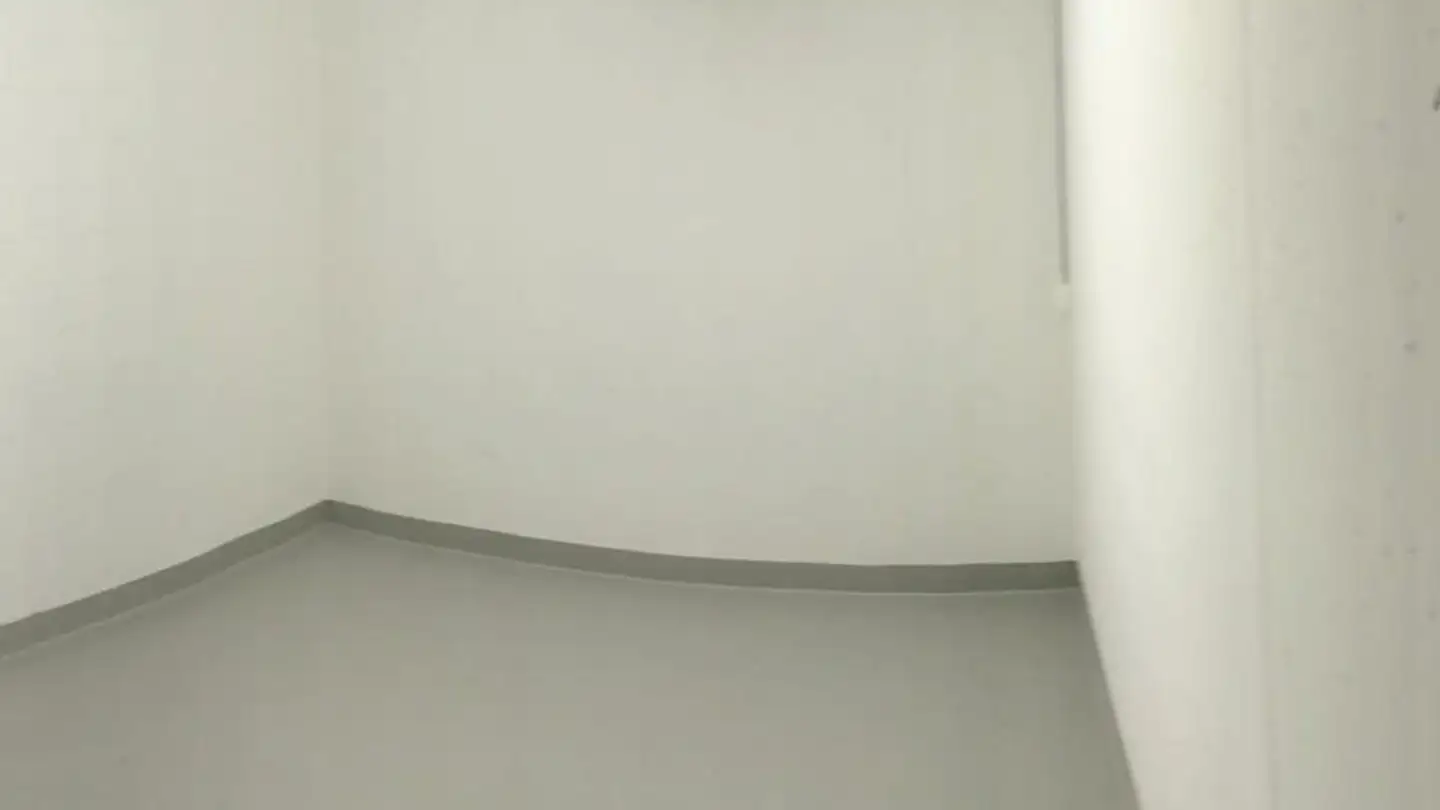 Hobby room for rent - Hölibachstrasse 134, 8912 Obfelden - Photo 3