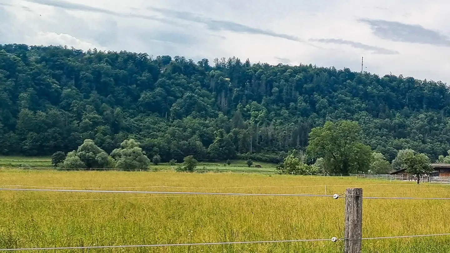 Casa singola in vendita - 4410 Liestal