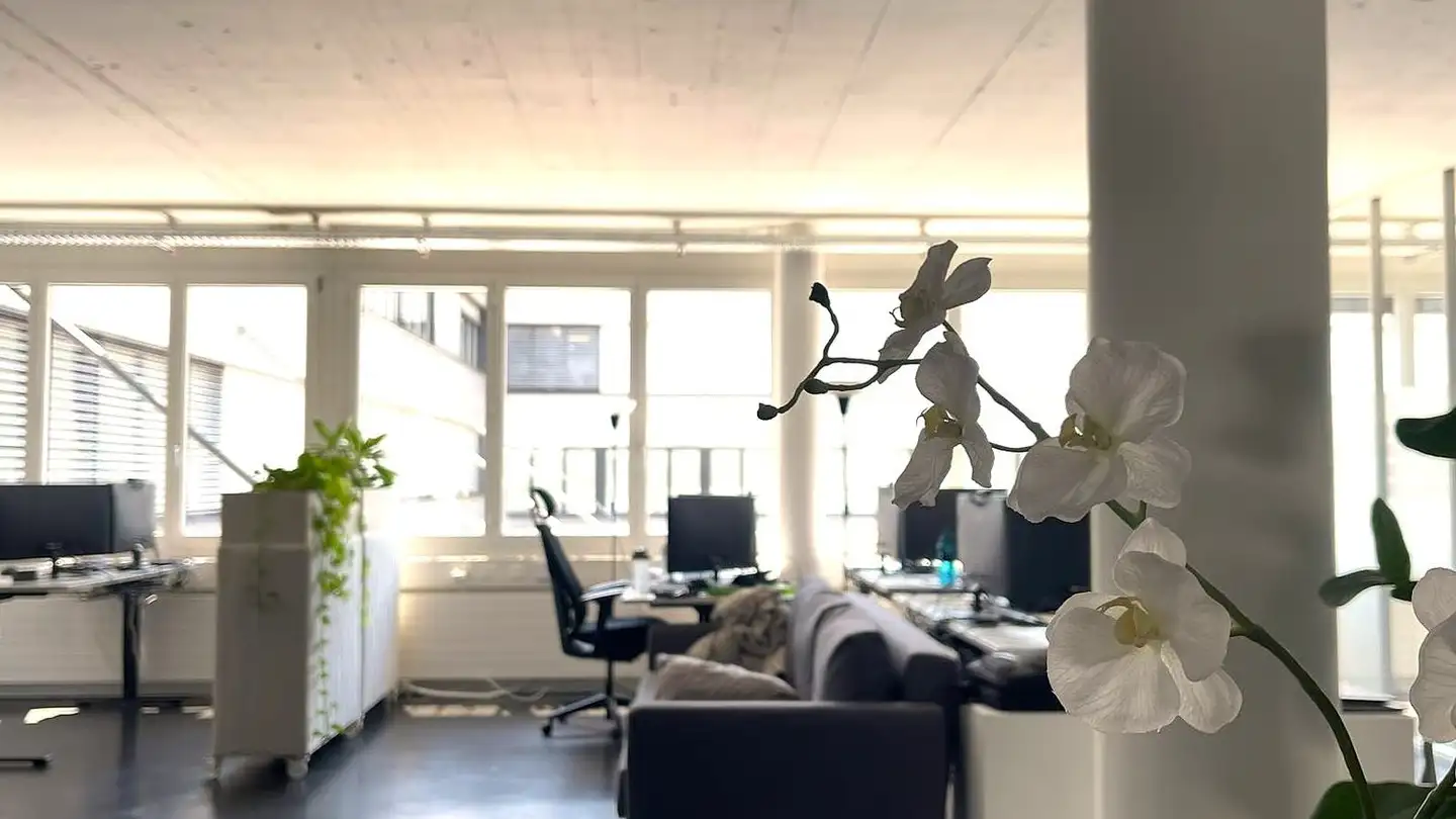 Bürofläche mieten - Brunnmatt 16, 6330 Cham