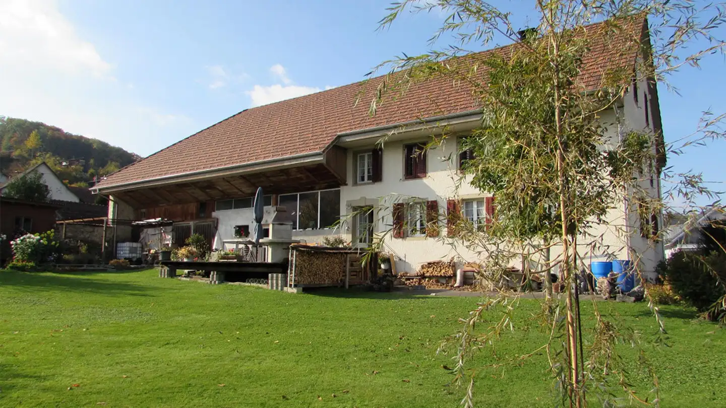 Fattoria in vendita - Alte Leutwilerstrasse 15, 5706 Boniswil - Photo 4