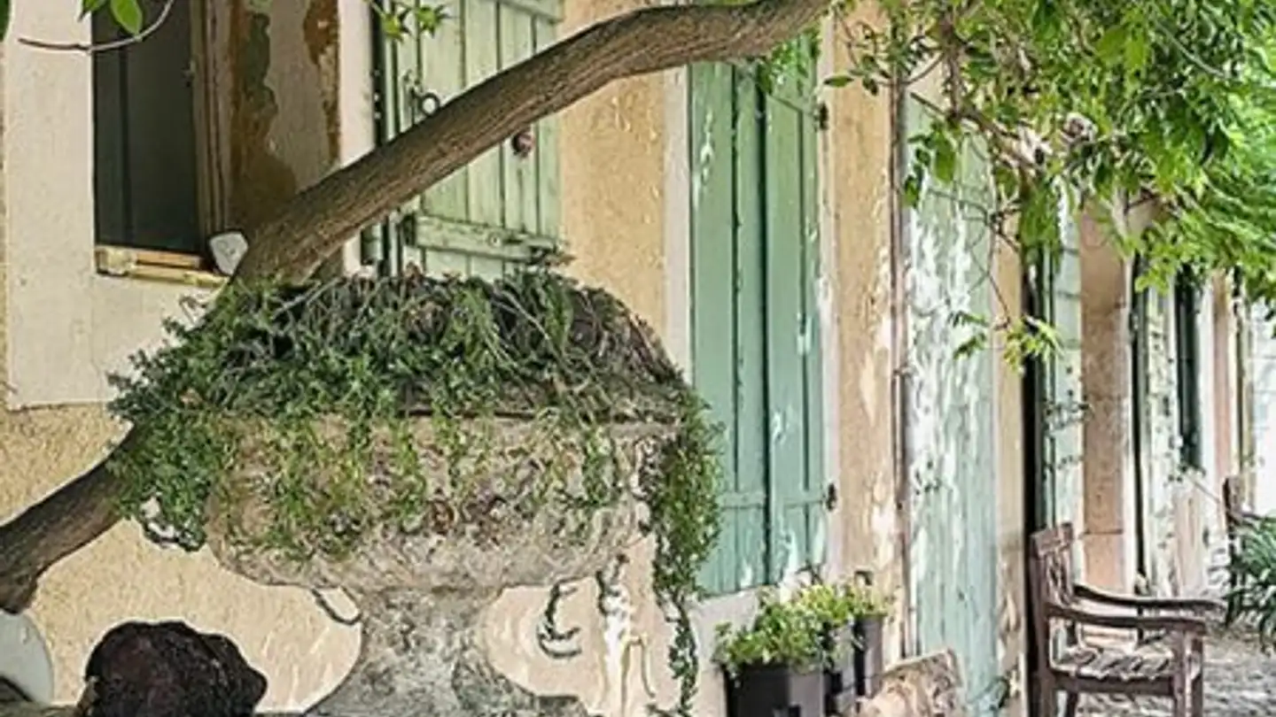 Appartamento in affitto - Chemin Jacques- Attenville 2, 1218 Le Grand-Saconnex - Foto 3