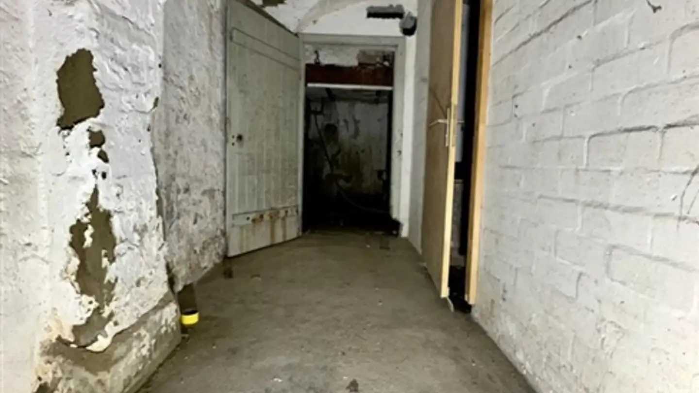 Appartamento in vendita - Chemin De La Buchille 1, 1694 Villarsiviriaux - Photo 3