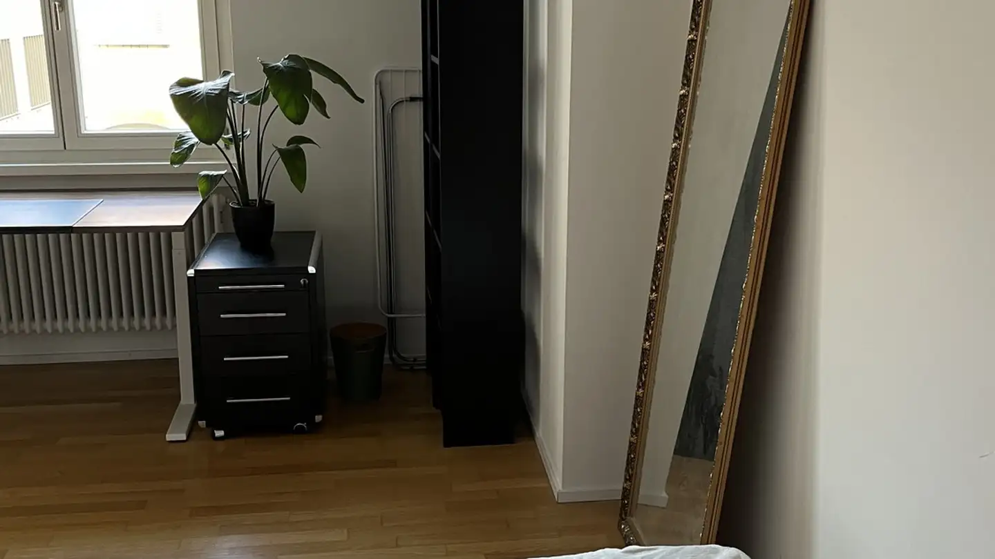 Appartamento in affitto - 8400 Winterthur - Photo 3