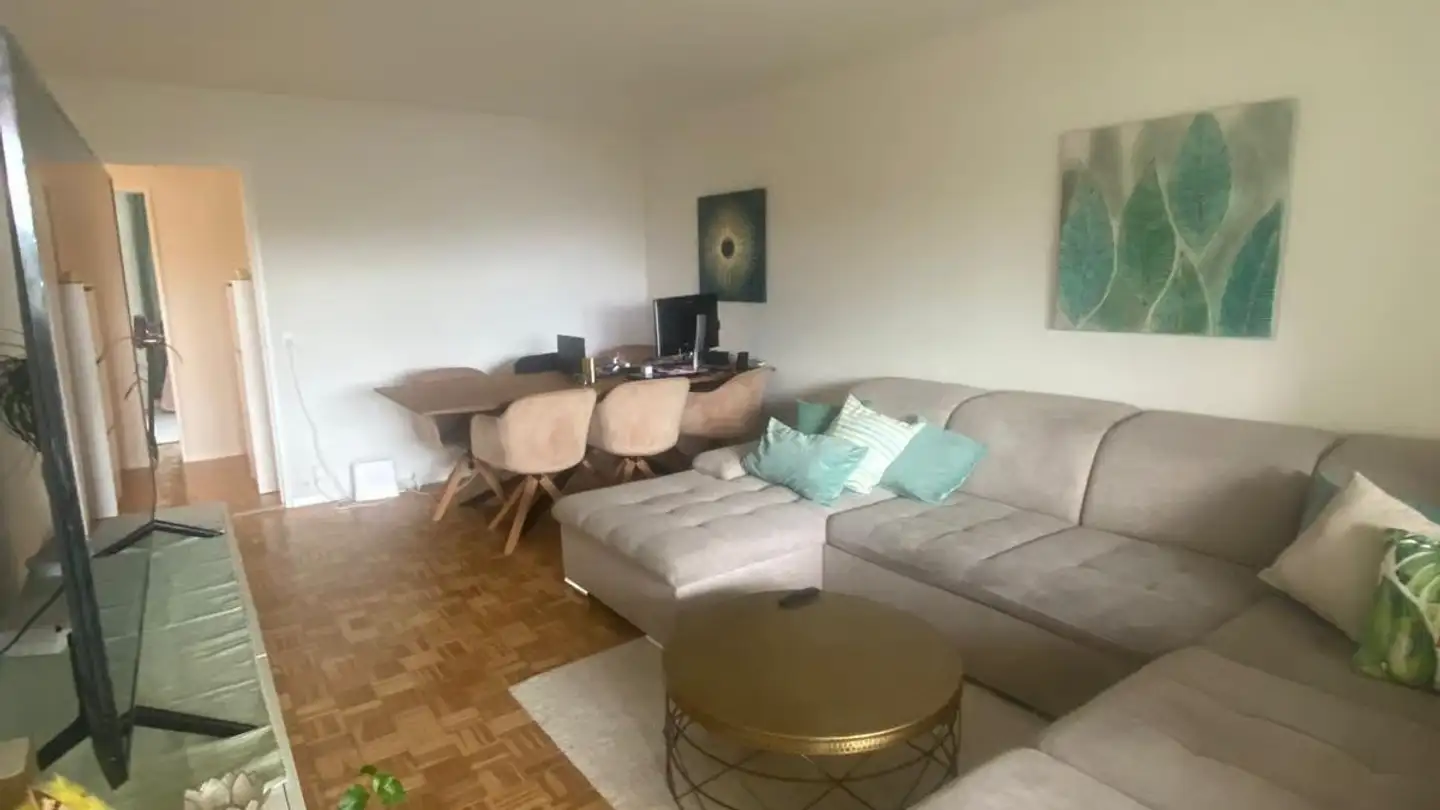 Appartement à louer - Käshaldenstrasse 41, 8052 Zürich - Photo 2