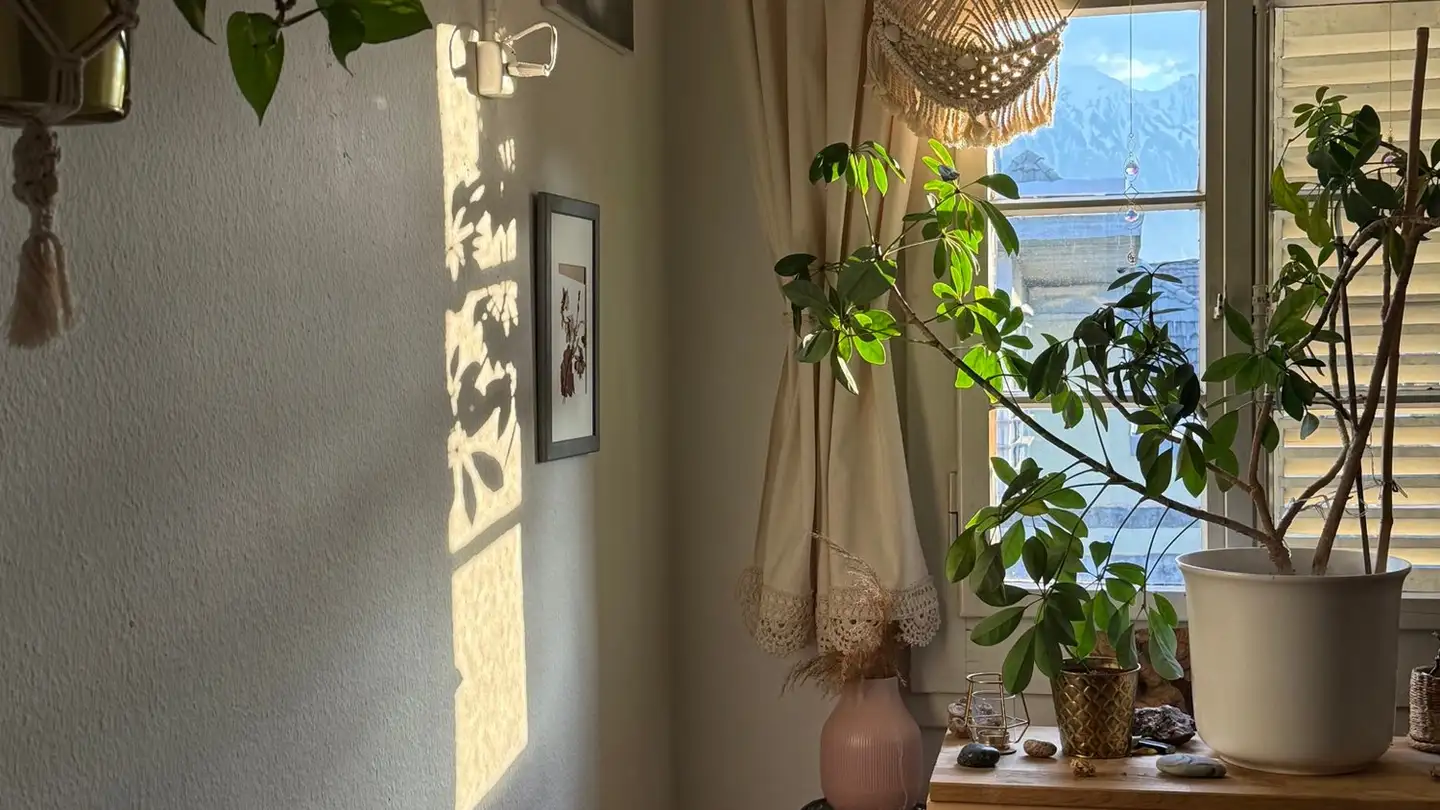 Single room for rent - Hohmadstrasse, 3600 Thun - Photo 4