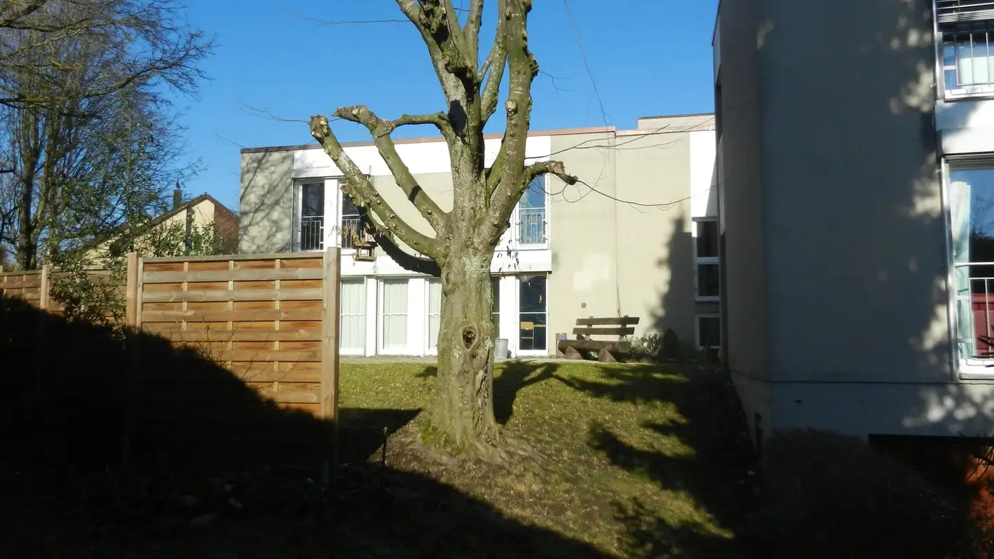 Mischgenutztes Gebäude mieten - Schachenstrasse 7, 8182 Hochfelden - Foto 3