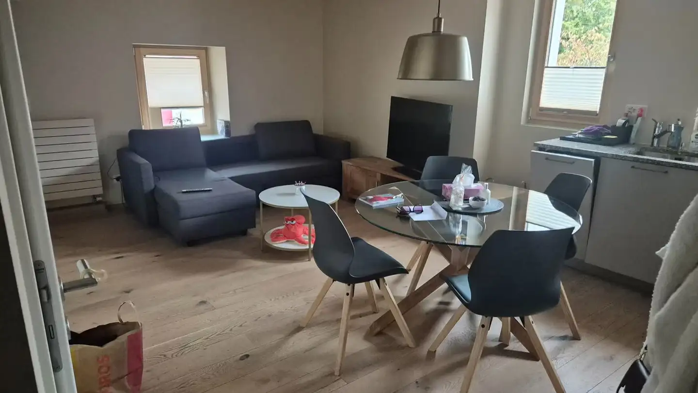 Appartamento in affitto - Route De Genève 1b, 1033 Cheseaux-sur-Lausanne - Foto 2