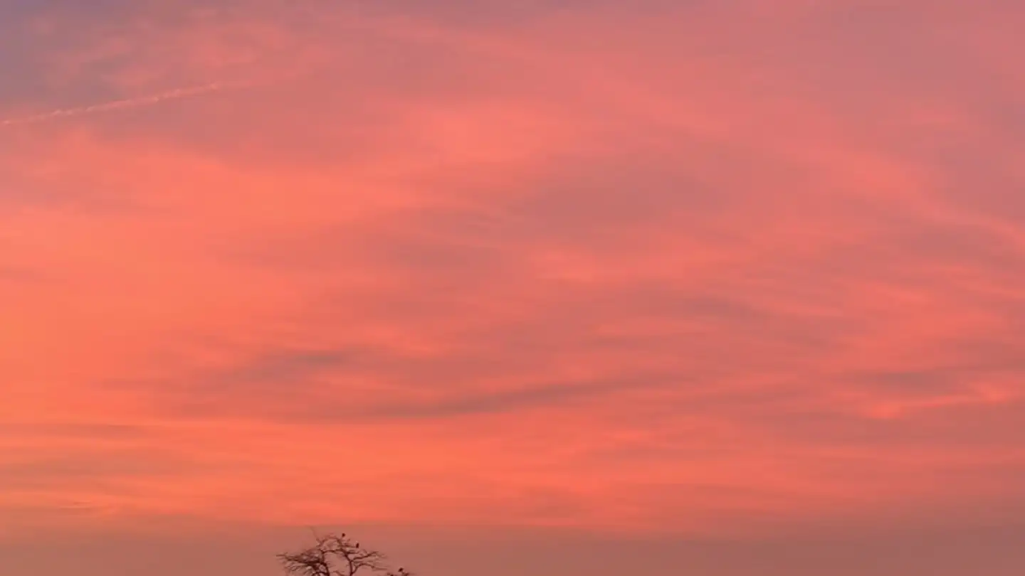 Apartment for rent - Felsenbergstrasse 5, 9400 Rorschach - Photo 2