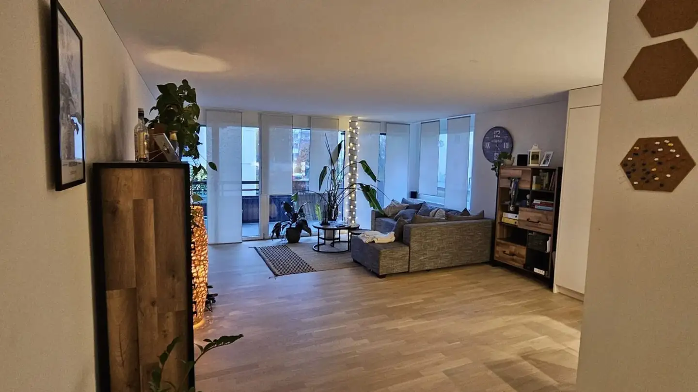 Appartement à louer - 8047 Zürich