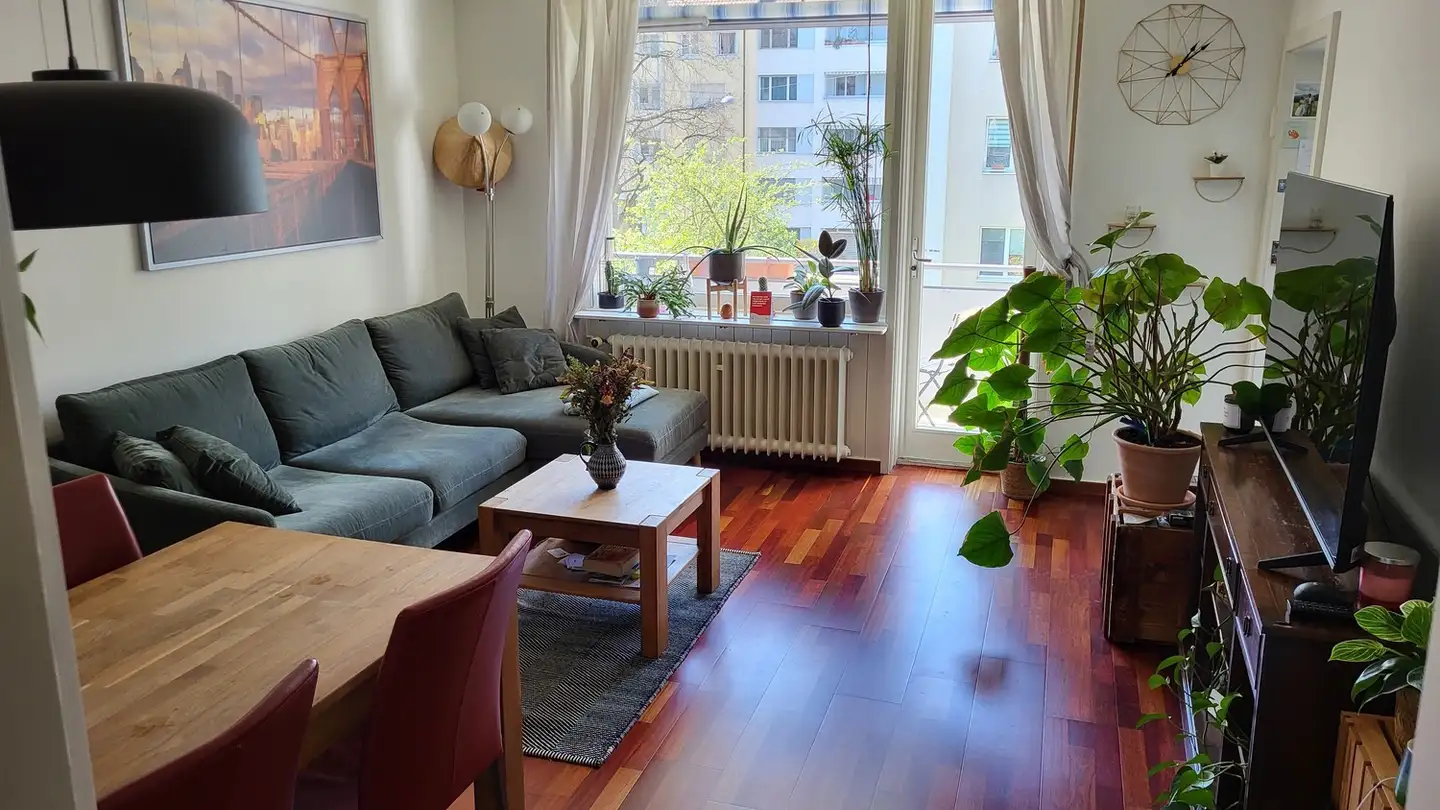 Appartamento in affitto - 4052 Basel