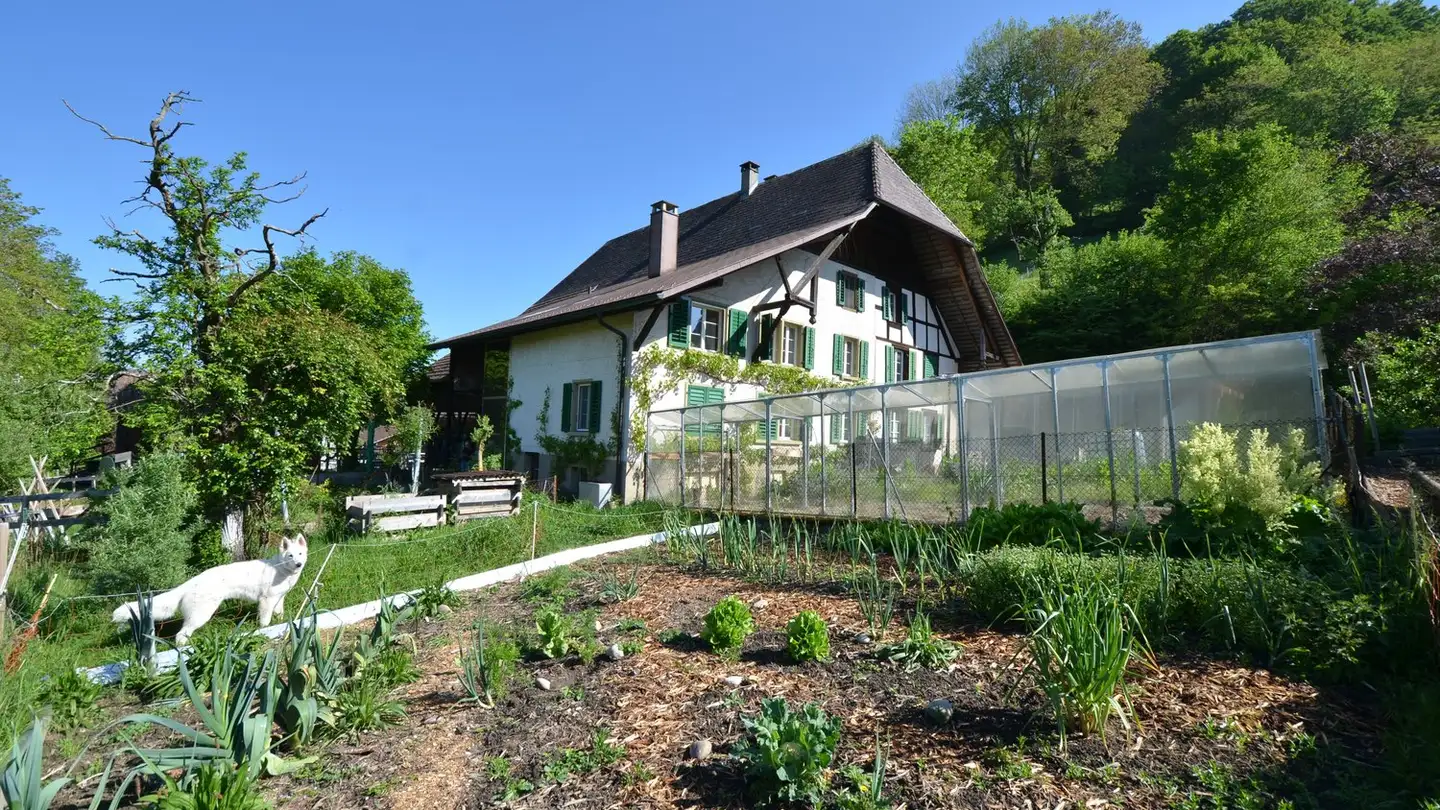 Immeuble résidentiel à vendre - 4917 Melchnau