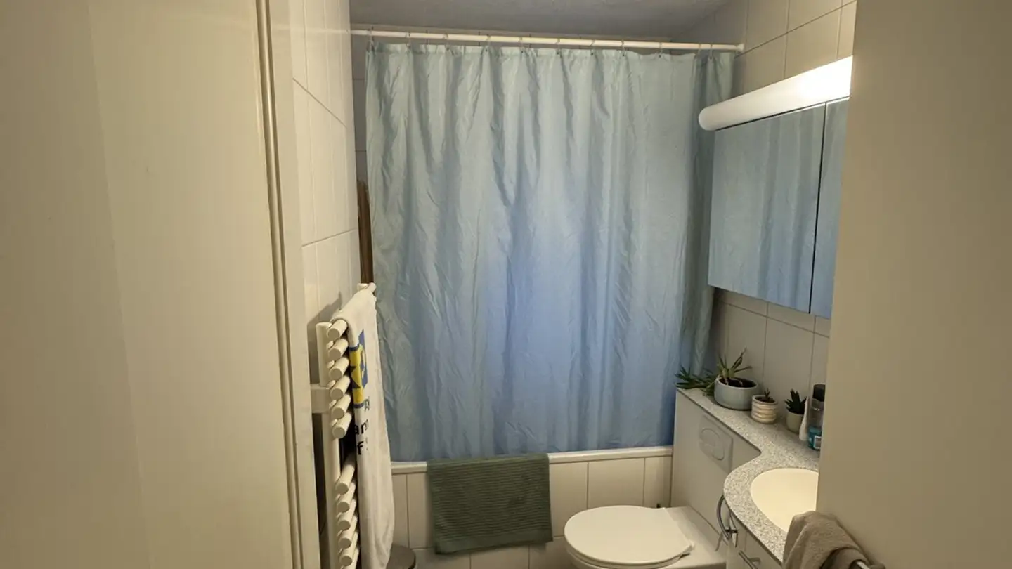 Chambre à louer - Limmattalstrasse 322, 8049 Zürich - Photo 2