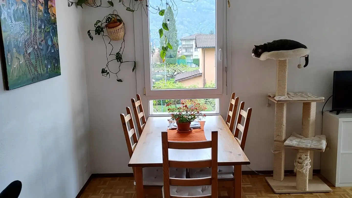 Wohnung mieten - Via S. Bernardo, 6952 Canobbio - Foto 4