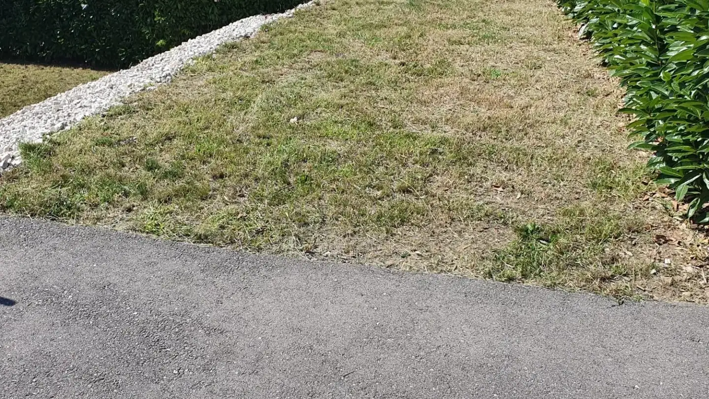 Constructible plot for sale - Chemin Des Plânes, 1787 Môtier (Vully) - Photo 3