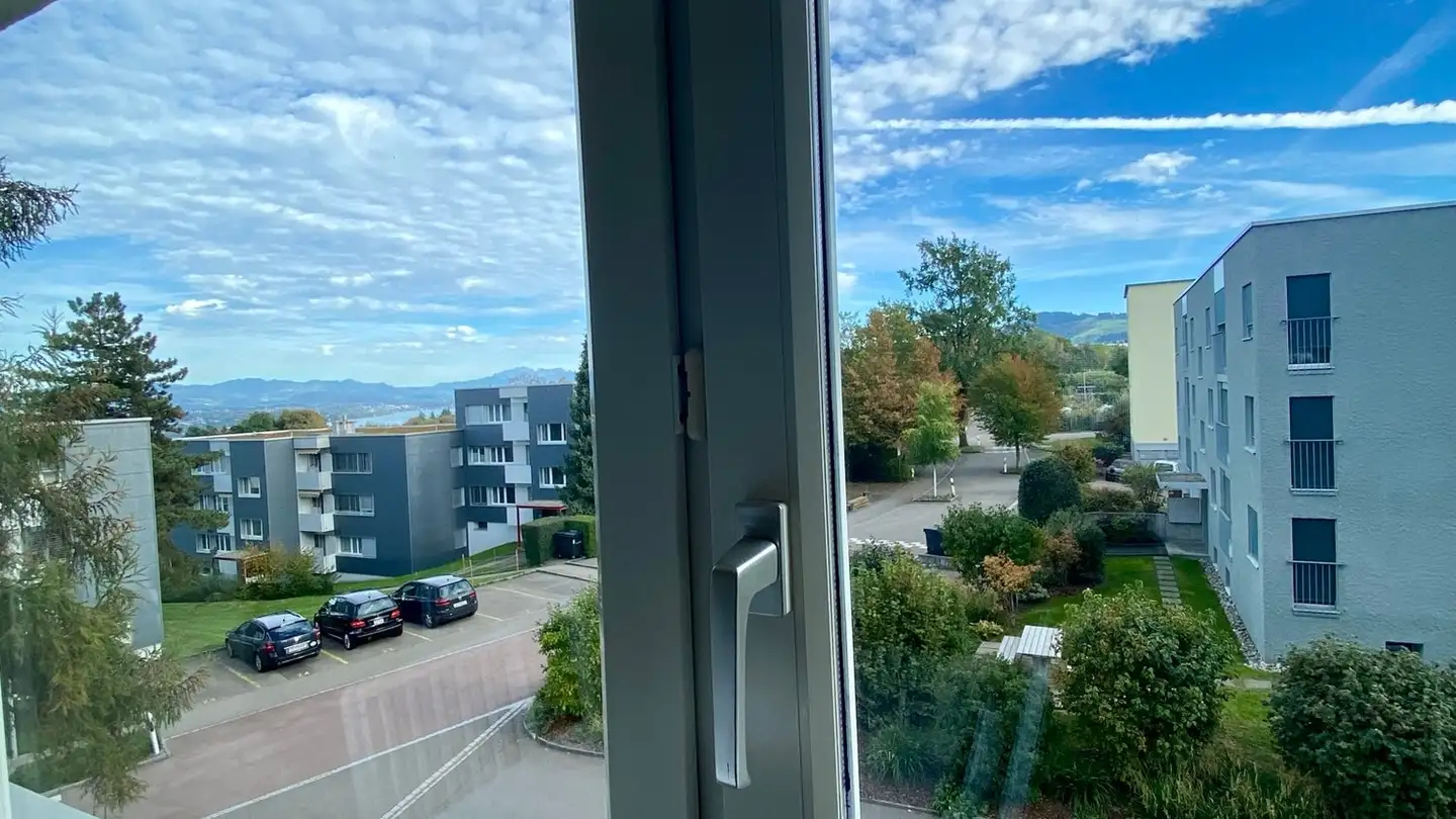 Appartamento in affitto - Walther-Hauser-Strasse 10, 8820 Wädenswil - Foto 4