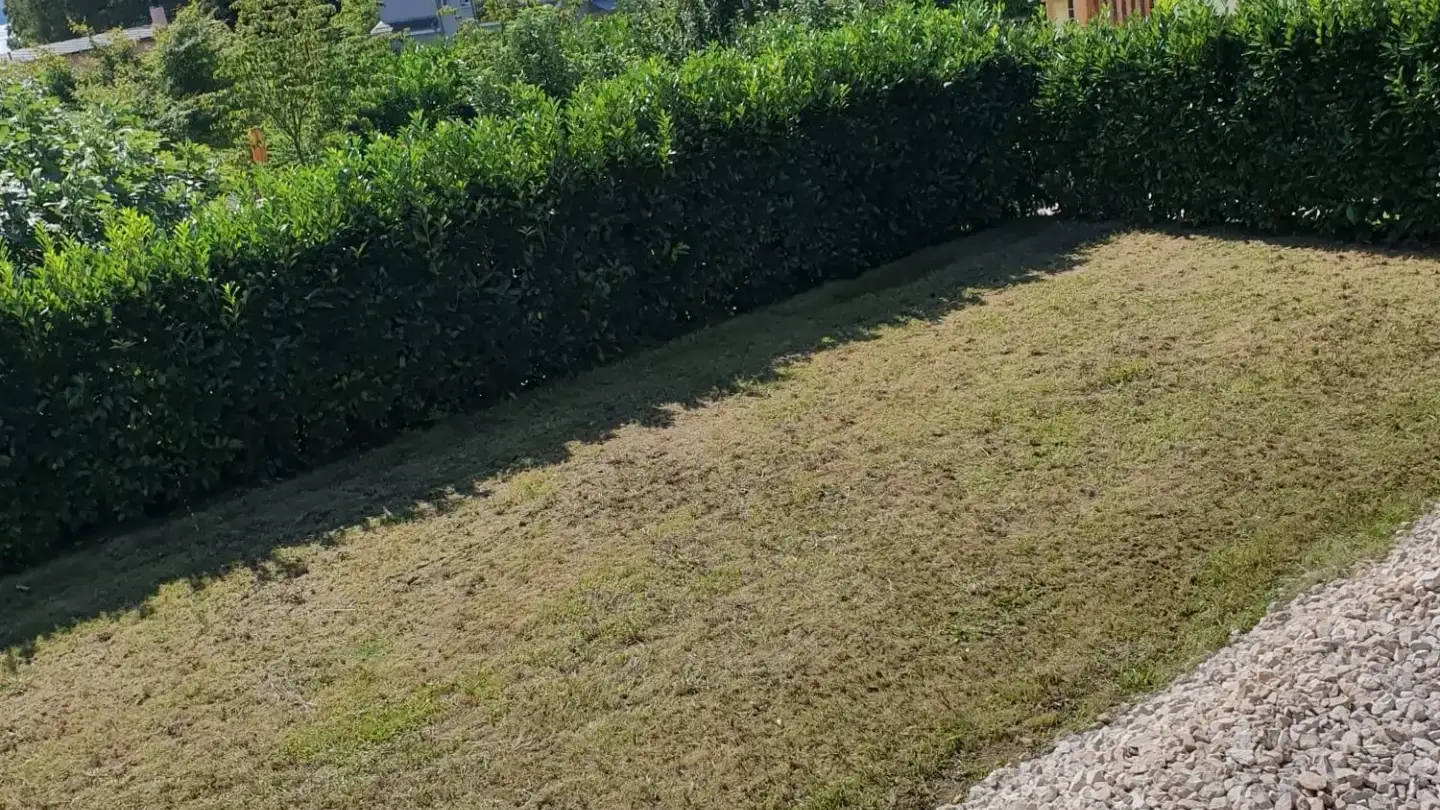Constructible plot for sale - Chemin Des Plânes, 1787 Môtier (Vully) - Photo 4