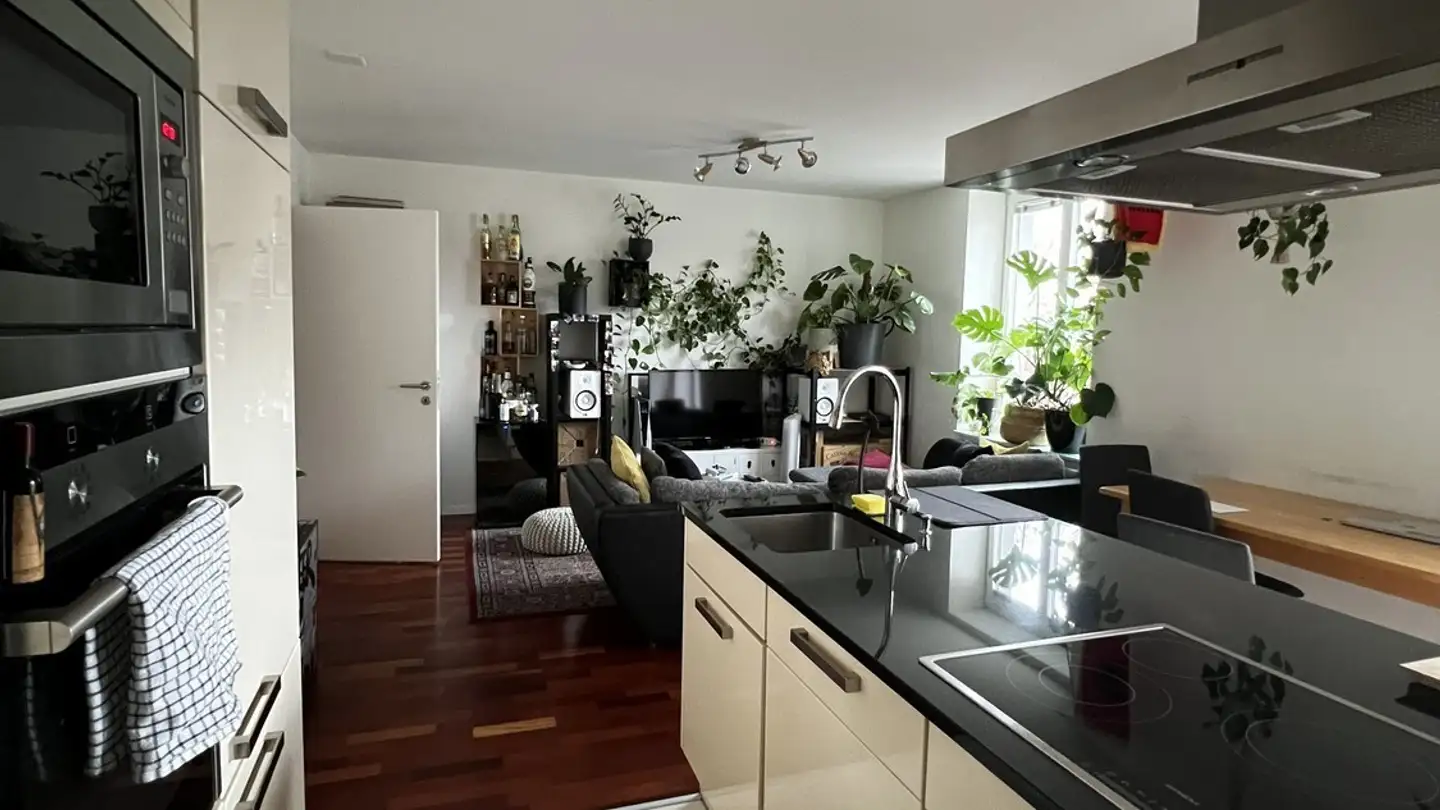 Apartment for rent - Zurlindenstrasse 3, 8003 Zürich - Photo 2