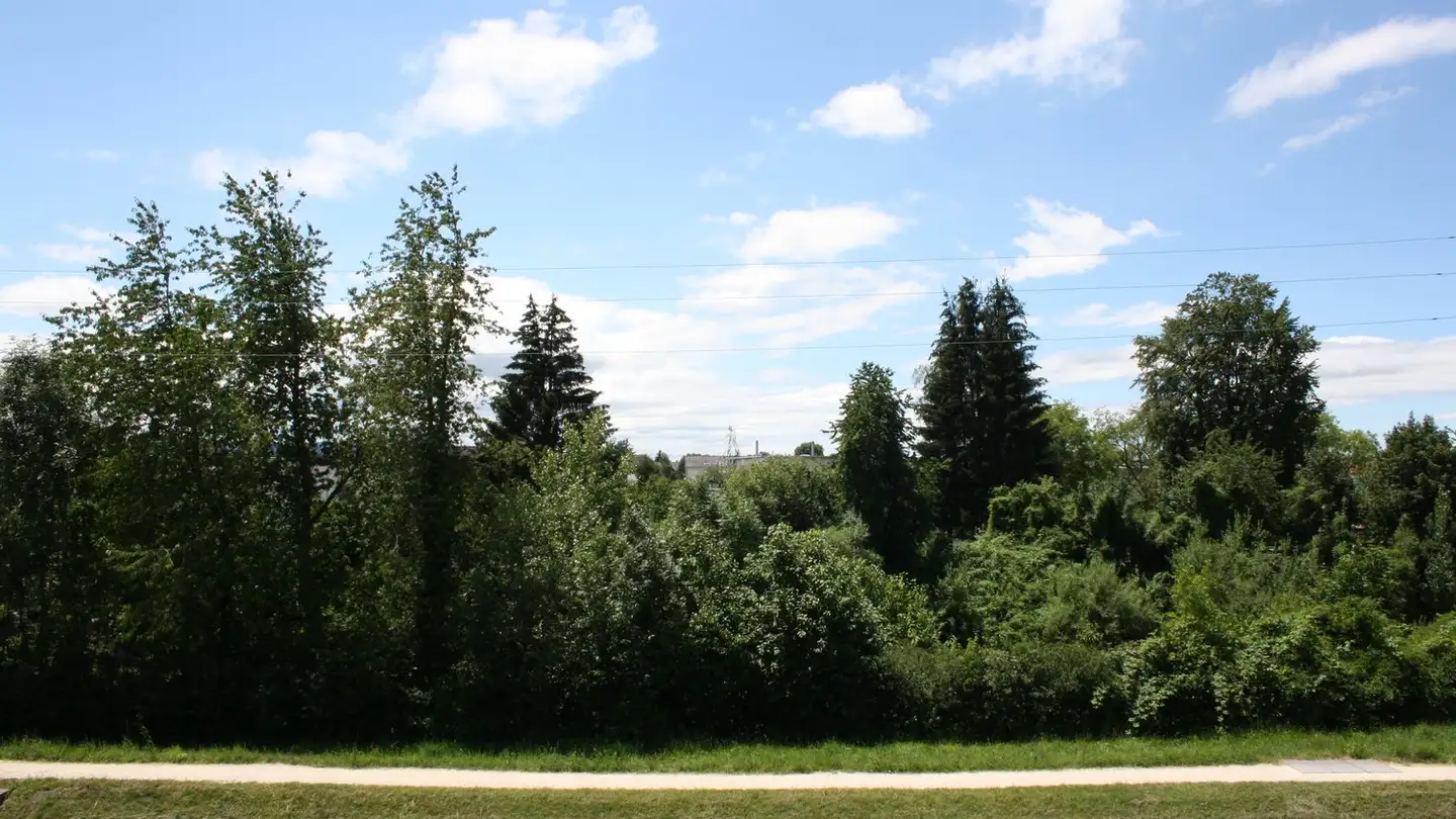 Appartement à louer - Beundenweg 11, 3422 Kirchberg BE - Photo 2
