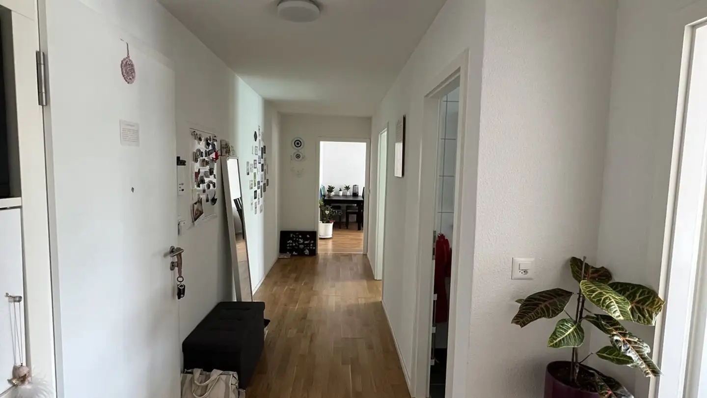 Stanza singola in affitto - 9532 Rickenbach b. Wil - Foto 4