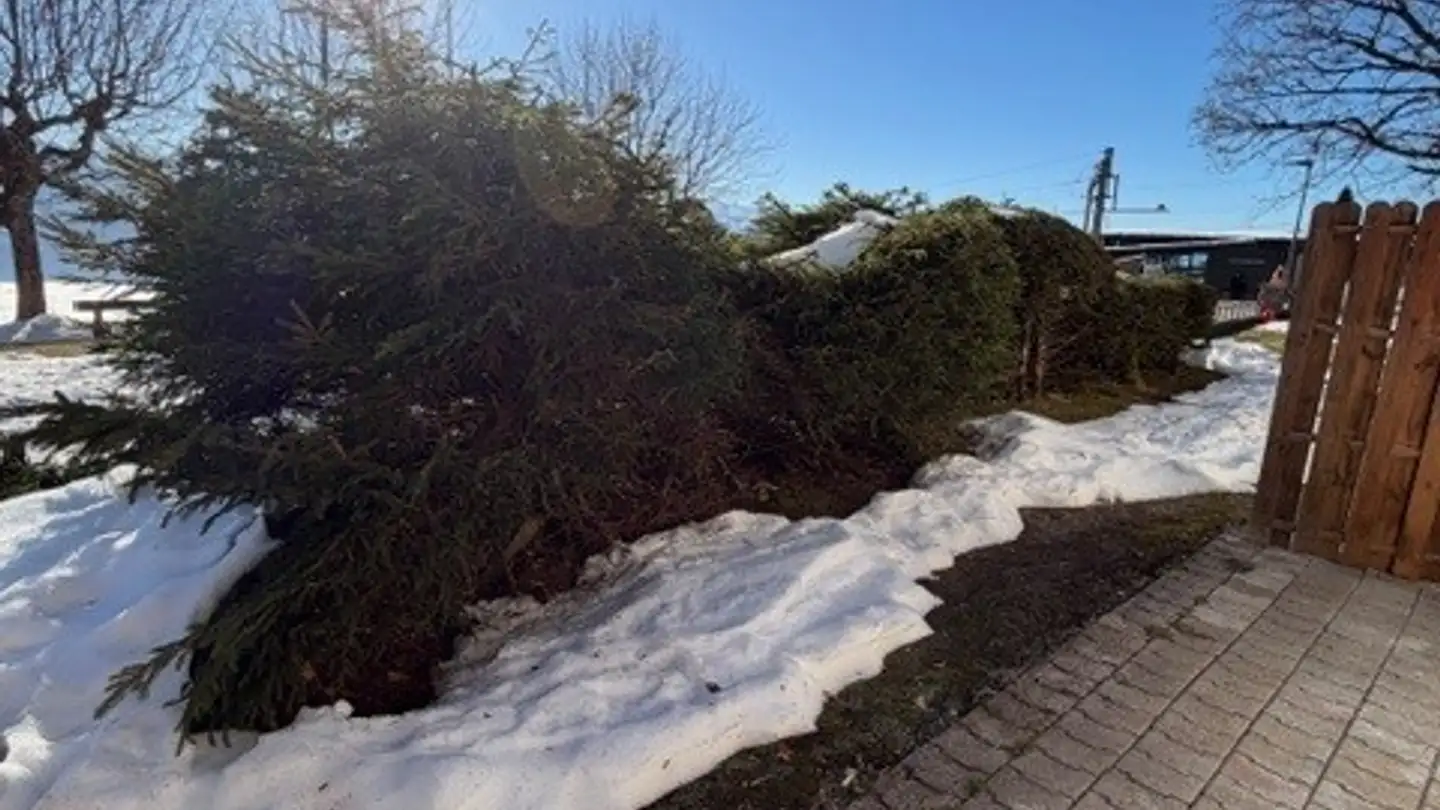 Studio à louer - Unterer Firstweg 1, 6356 Rigi Kaltbad