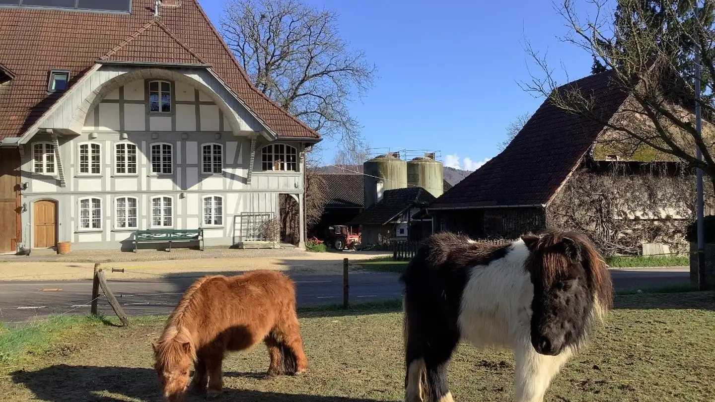 Duplex for rent - Hauptstrasse 11, 3254 Messen