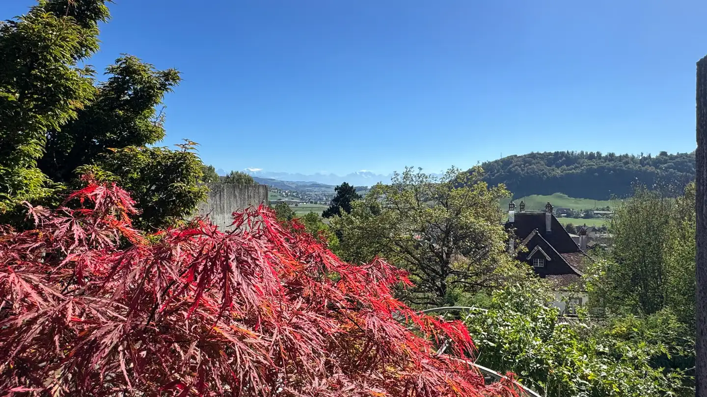 Duplex à vendre - Schlossstrasse 58, 3067 Boll - Photo 3