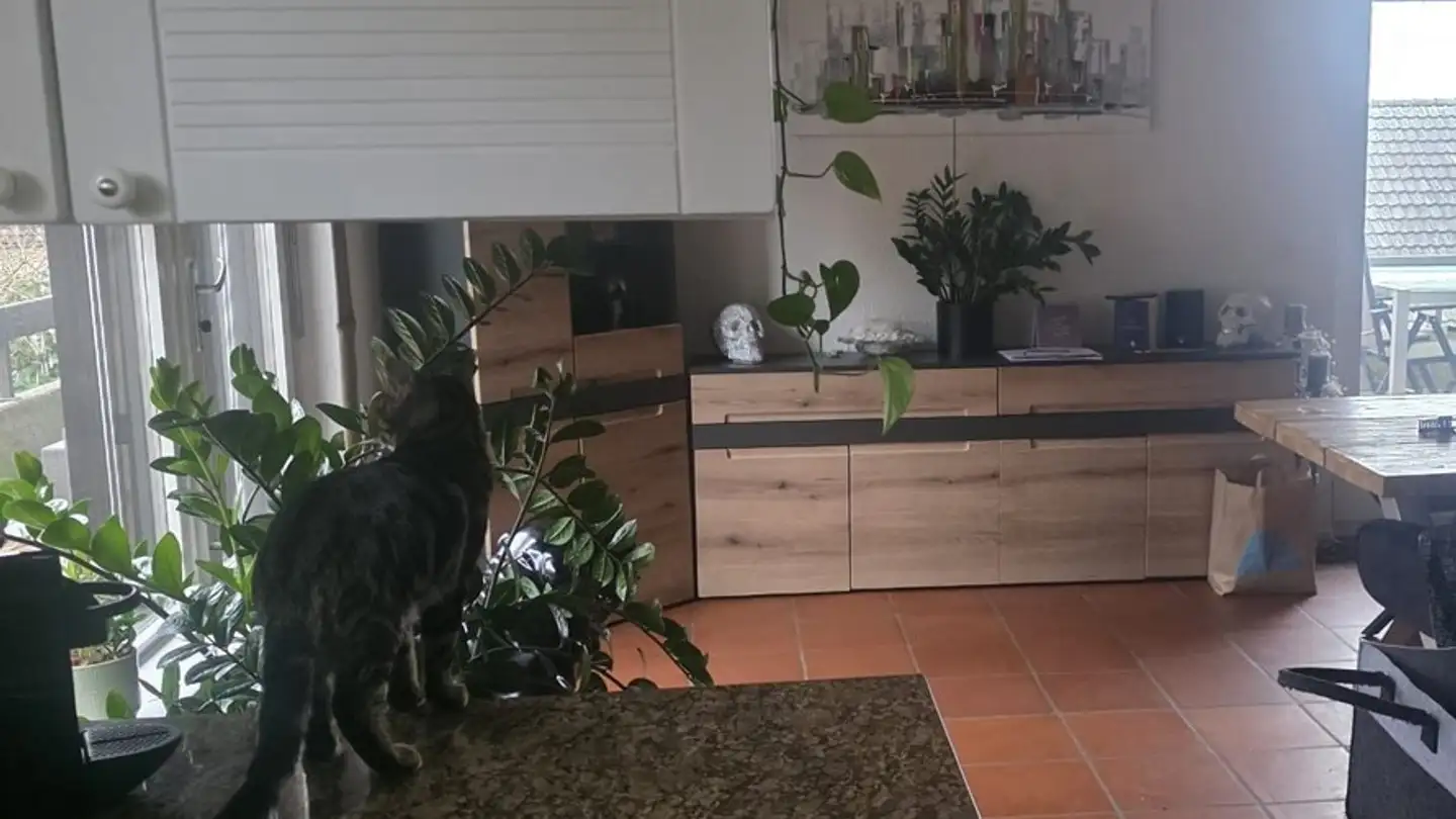 Appartamento in affitto - 3323 Bäriswil BE - Foto 2