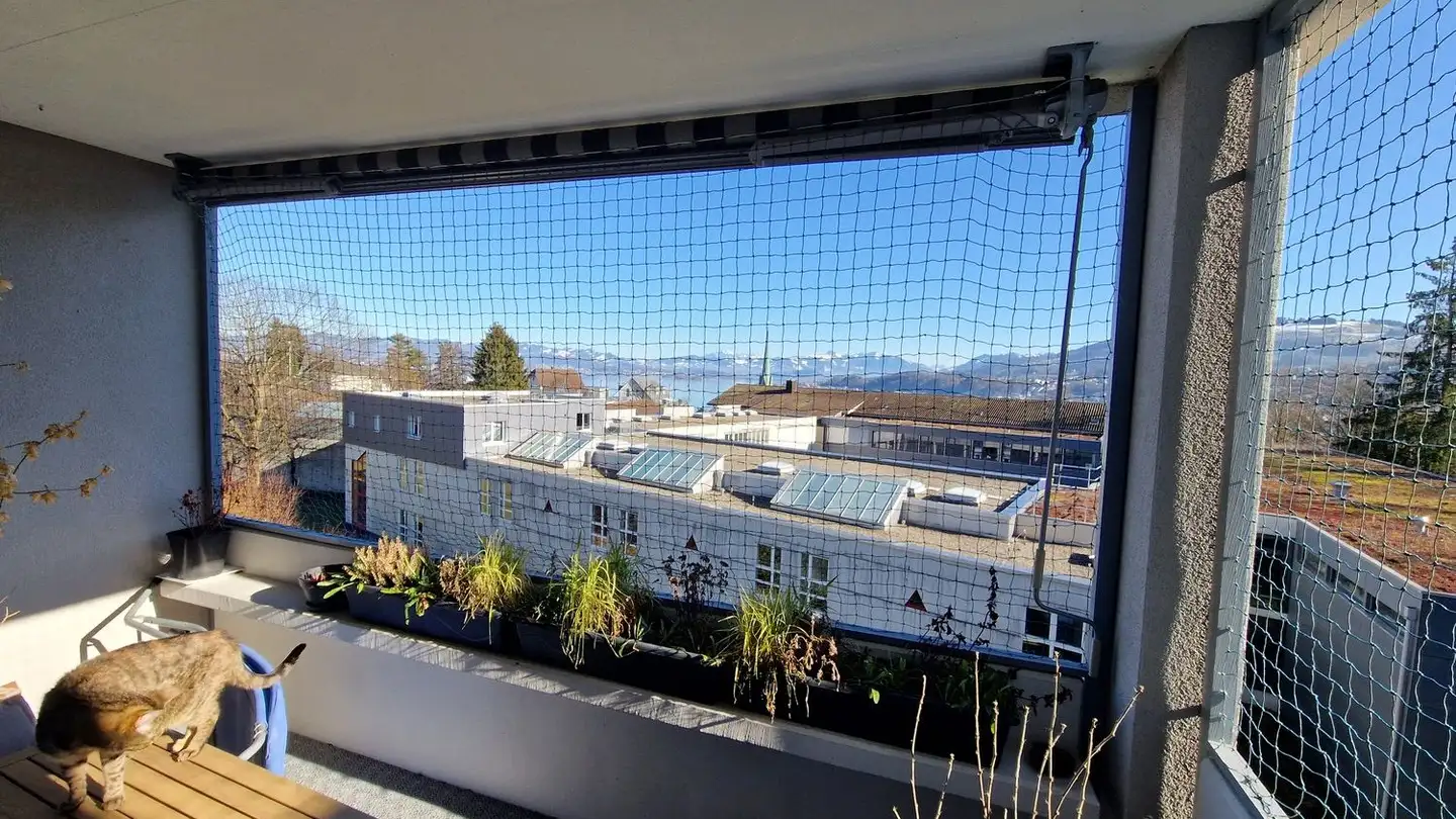 Zimmer mieten - Bodenstrasse 13, 8805 Richterswil - Foto 4
